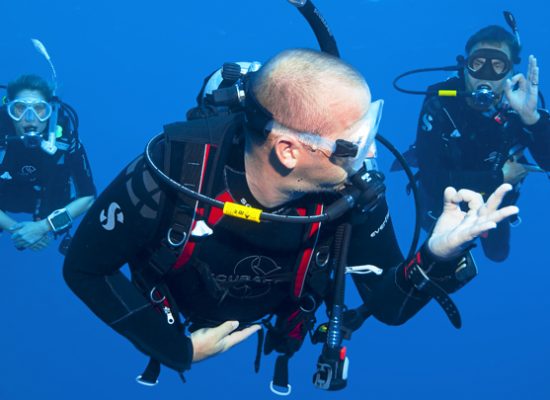 Diving Dive Guide